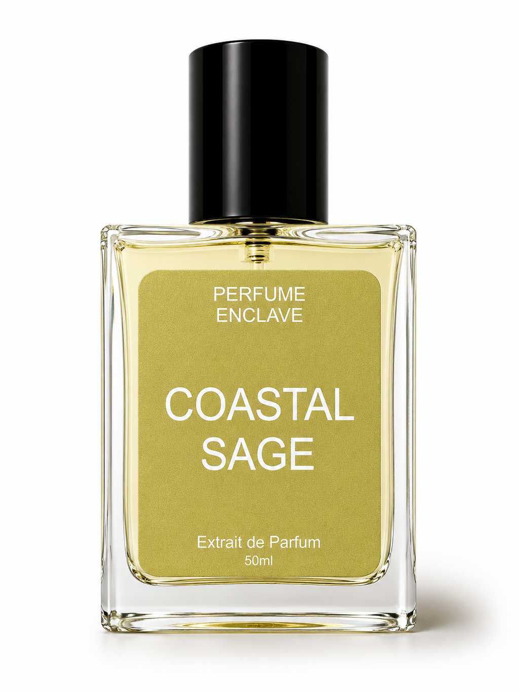 Coastal Sage | Inspired by Wood Sage & Sea Salt Jo Malone London for women and men